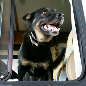 Meet your Posher, Dana